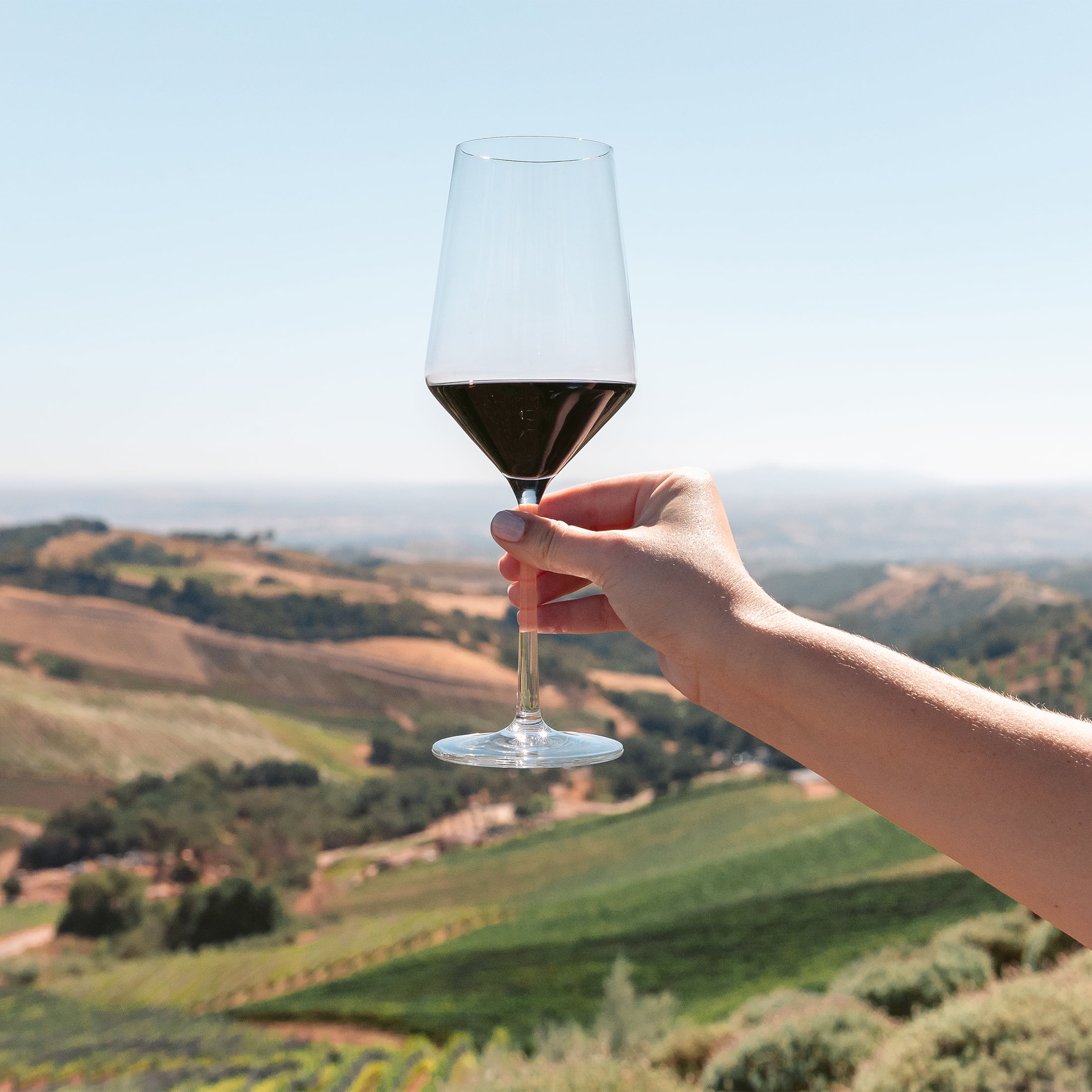 Daou Vineyards Cabernet Sauvignon California Red Wine, 750 ml Bottle, 15% ABV