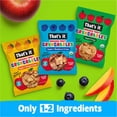 thumbnail image 4 of That's it Crunchables Organic Fruit Crisps Variety Pack 18- 6 each Apple, Mango and Blueberry, 4 of 5