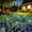Multicolor, variant on Garden Decor Outdoor Lights 120LED 2Pack, Solar Garden Lights for Outside Christmas Fairy Firework Decorative,Solar Powered for Yard Pathway Flowerbed Planter Balcony Patio Decor (Warm White