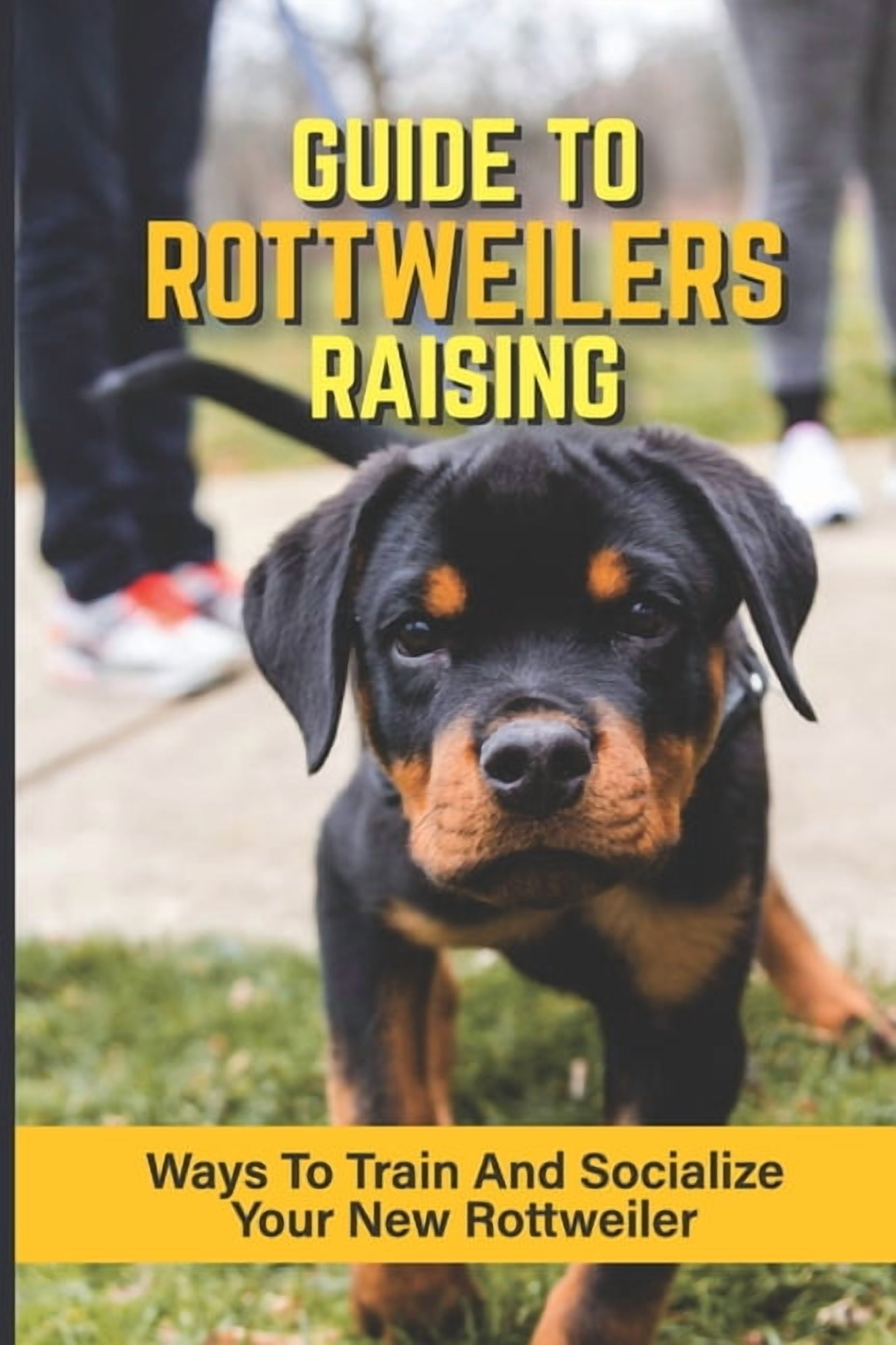 Rottweiler Puppies: What You Need To Know Before Getting A