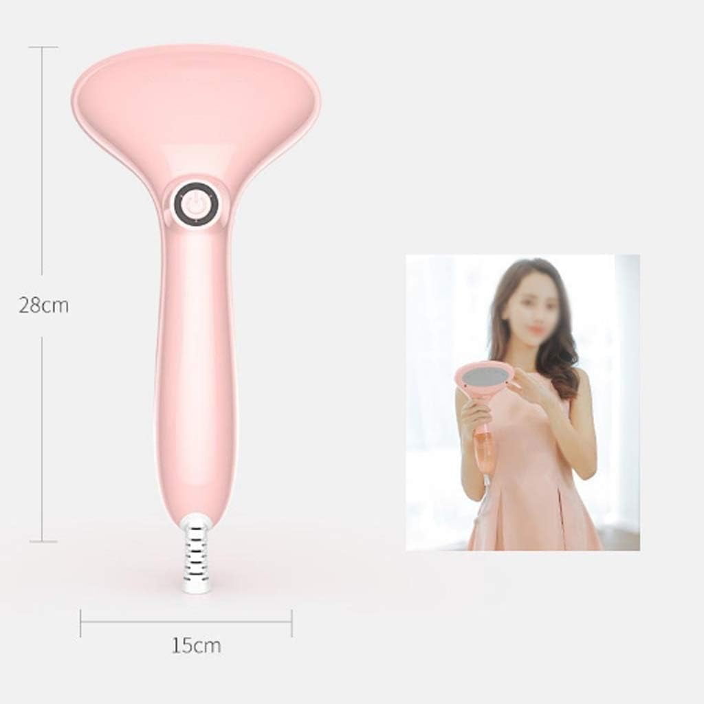Ironing Machine Handheld Hanging Ironing Machine Household Clothes Steam Brush Small Dormitory Student Portable Electric Iron