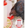 thumbnail image 4 of JilgTeok 1 Packs Chicken Feeder Plastic Food Feeder with Lid Handle Durable Feeding Container for Chicken Chick Hen Turkeys Poultry, 4 of 6