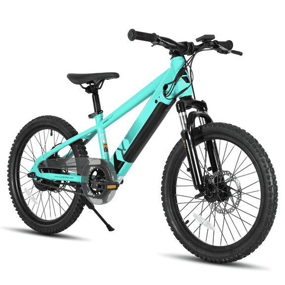 JOYSTAR Electric Bike for Teenagers, Ages 7 with 250W Brushless Motor, 15 Miles 15MPH Electric Mountain Bicycle with Removable Battery, Multiple Colors