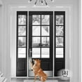 thumbnail image 3 of Deck the Door Decor | Dog Scratch Door Protection Plate - Anodized Aluminum - 3M Adhesive Mount - Multiple Finish Colors - Sizes for All Doors (4 x 22, Shiny Brass), 3 of 5