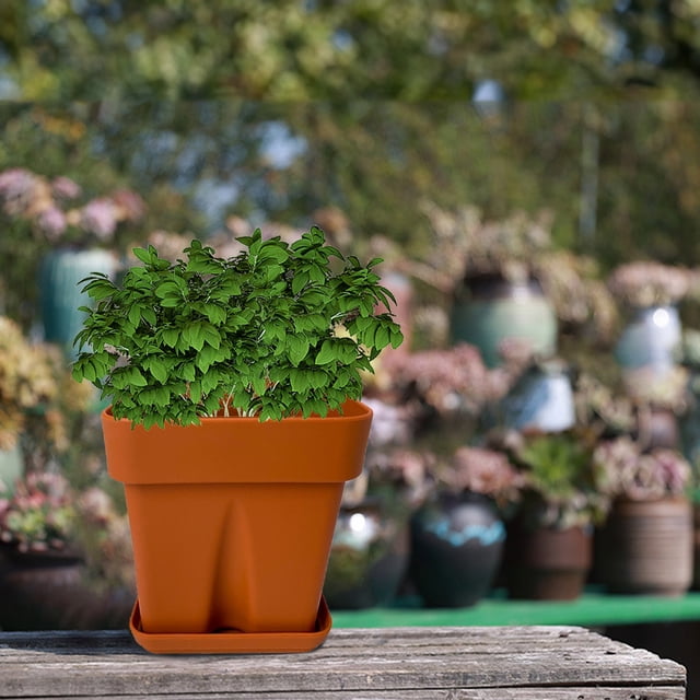 Thickened Square Silicone Planter for Succulent Fall Season Pot