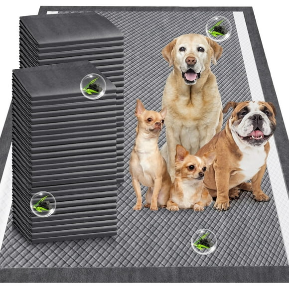 Gimars TTG Tapis de Propreté Ultra Absorbants 6 Couches Extra Larges - Étanches Contrôle des Odeurs Séchage Rapide pour Chiens
