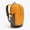 Golden Brown, variant on Decathlon Quechua 100 Arpenaz 20L Hiking Backpack