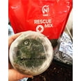 thumbnail image 2 of Noot Propagation Rescue Mix To Rescue Plants From Root Rot, Rapid Root Nodes & Cuttings. Coconut Husk, Fibers, Coir With Coarse Perlite., 2 of 9