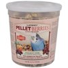10 oz Parakeet Pellet-Berries