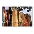 thumbnail image 1 of Trademark Fine Art 'Long Boards Waikiki' Canvas Art by Joe Felzman Photography, 1 of 3