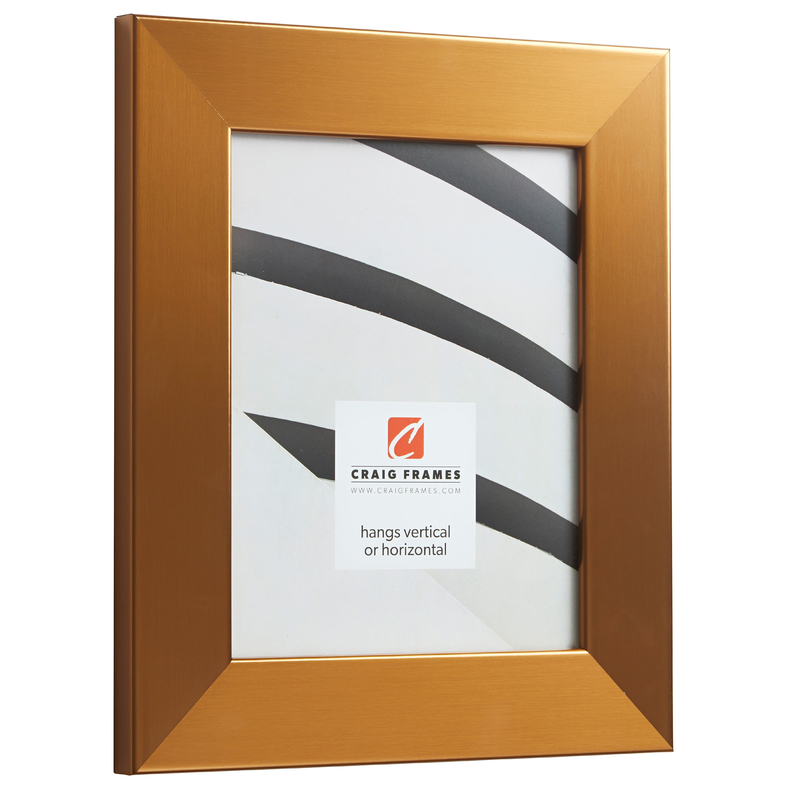 Craig Frames Bauhaus 200, 18x24 inch Picture Frame, Modern Stainless Brass