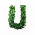 thumbnail image 1 of Modern Home Lettres de Couronne Monogramme Buis Véritablement Préservé de 12 Pouces - U, 1 of 2