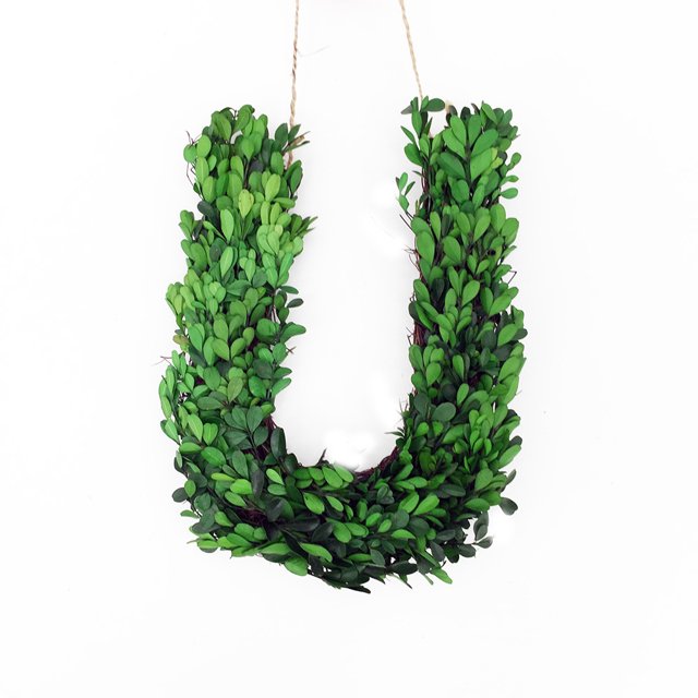 Modern Home Couronne Monogramme en Bois de Buis Préservé 12 Pouces - U