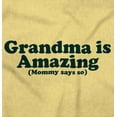 thumbnail image 2 of Grandma Amazing Mom Says So Cute Nana Toddler Boy Girl T Shirt Infant Toddler Brisco Brands 6M, 2 of 6