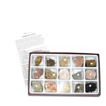 Rock Collection Sedimentary Rock Kit for Educational Kit For Geology Enthusiast.