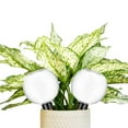 thumbnail image 2 of Jierger Watering Globes Automatic Plastic Self Watering Planter Insert Waterer Watering Bulbs for Indoor Plants Irrigation Plant Watering Devices with Slow Release Control for Garden, Greenhouse, 2 of 9