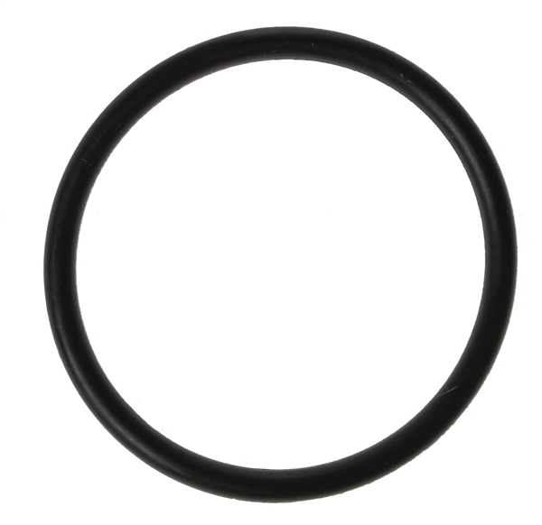 Engine Coolant Thermostat