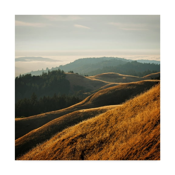 Trademark Fine Art 'Marin Hills' Canvas Art by Lance Kuehne
