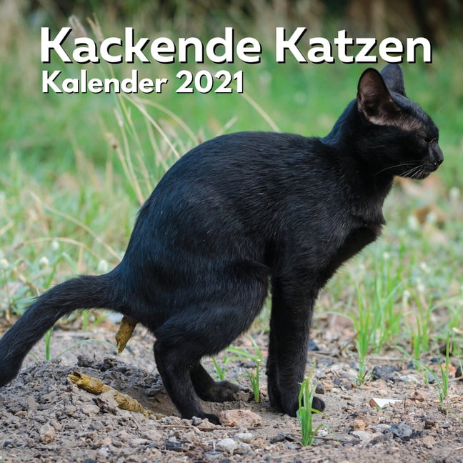 Persische Katze 2021 Wandkalender ID:11309 