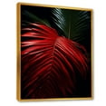 thumbnail image 2 of Designart "Monochromatic Photo Of Red Palm Trees" Palms & Palm Trees Floater Framed Canvas Art Print, 2 of 5
