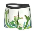 thumbnail image 2 of Fotbe Cartoon Cactus Men’s Total Support Pouch Boxer Briefs, X-Temp Cooling, Moisture-Wicking Underwear, Regular, Long-leg and Trunk-, 2 of 9
