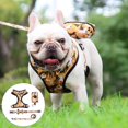 thumbnail image 2 of Conjunto de Arnés para Perros Chaleco Transpirable con Arneses con Nudo de Lazo METRO Sunnimix Chaleco de arneses, 2 of 8