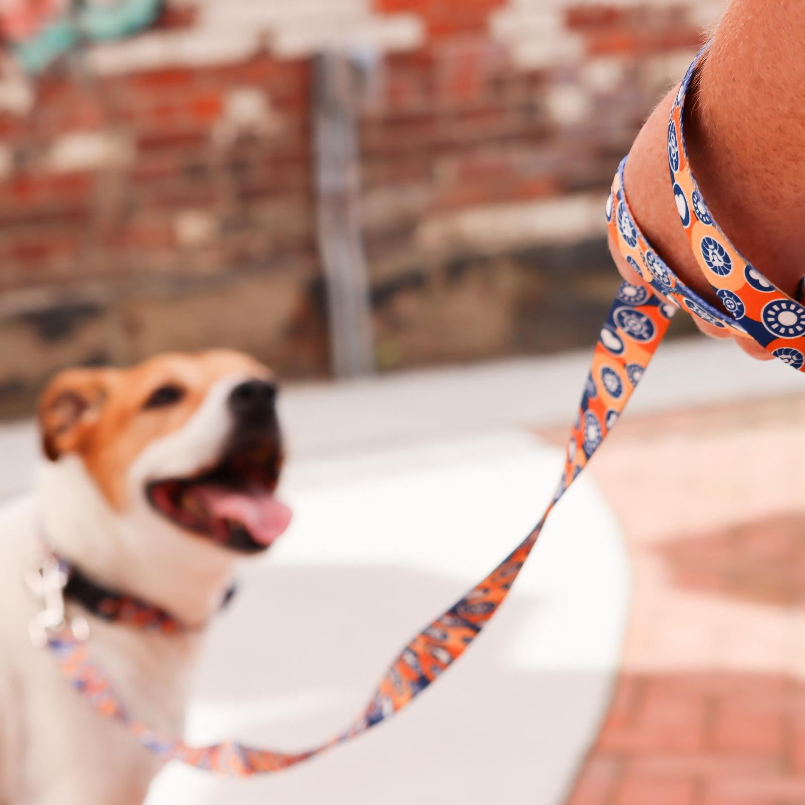 Life is Good® Styles Dog Leash, Pawsitivity, 1" x 04' (Large)
