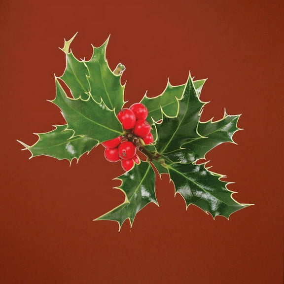 Wallhogs Holly Cutout Wall Decal