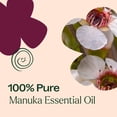 thumbnail image 5 of Plant Therapy Manuka Essential Oil, 10ml, 100% Pure and Undiluted, for Skin Blemishes & Respiratory Support, 5 of 8