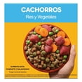 thumbnail image 3 of Pedigree Cachorro 20kg + Caja Pedigree Sobre Cachorro filete Res (12 Sobres), 3 of 5