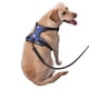 thumbnail image 2 of Fotbe Flamingo Arnés para Perro con Estampado –Chaleco Ajustable Acolchado con Asa de Control para Perros Grandes-Small, 2 of 6