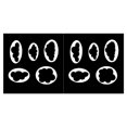 thumbnail image 3 of Ounissouiy 5Pcs Mold Casting Handmade Cookie Irregular Craft Chocolate Biscuit Gingerbread Cake Stamp Bakeware Jelly Moulds Shape 2Conjunto, 3 of 6