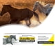 thumbnail image 3 of Suplementos para caballos, 3 of 7
