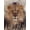 Unframed, variant on Art.com Lion Stretched Canvas Print Wall Art, 12" x 16"