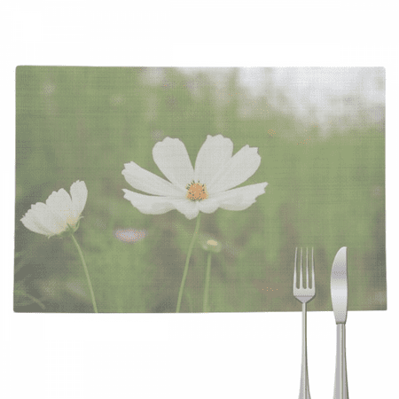 

Double White Cosmos Art Deco Fashion Placemat Pad Kitchen Woven Heat Resistant Cushion Rectangle