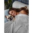thumbnail image 3 of Grey Retro Greek Key Twim Size Flat Sheet, Wrinkleproof & Fadeproof Cooling Flat Bed Sheet Only, Geometric Greece Ancient Rustic Breathable Soft Bedding Top Sheets 66 x 96 Inches, 3 of 8