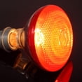 thumbnail image 4 of 2 Pcs Ampoules Rouges pour Bétail et Reptiles Chauffage en Hiver Lampe Chauffante Bétail Lampe Chauffante,150w, 4 of 8
