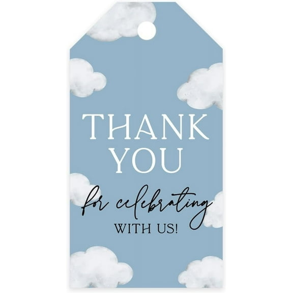 Koyal Wholesale On Cloud Nine Baby Shower Decorations, Dusty Blue Thank You for Celebrating with Us, 20 Pack