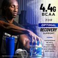 thumbnail image 5 of Post Workout Recovery BCAA-XS 2:1  Powder, 5 of 5