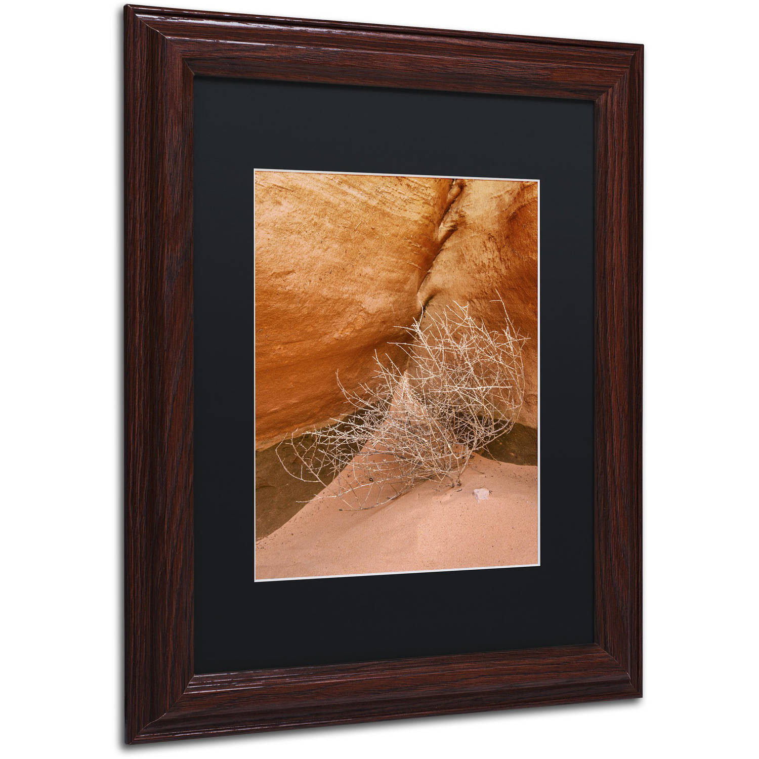 Trademark Fine Art 'Tumbleweed' Canvas Art by Michael Blanchette Photography, Black Matte, Wood Frame