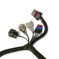 thumbnail image 4 of Holley EFI 558-439 Fuel Injection Harness, 4 of 4