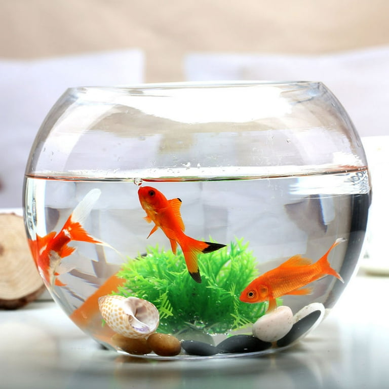 Glass Fish Bowl Small Fish Tank Desktop Fish Tank Clear Goldfish Bowl  Goldfish Tank