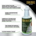 Stain Proof Acidic Cleaner