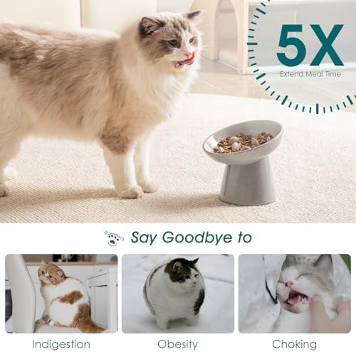 Ceramic Slow Feeder Cat Bowl, 6.25 Inch Elevated Cat Slow Feeder Bowl, Anti Vomiting for Dry and Wet Food, Grey