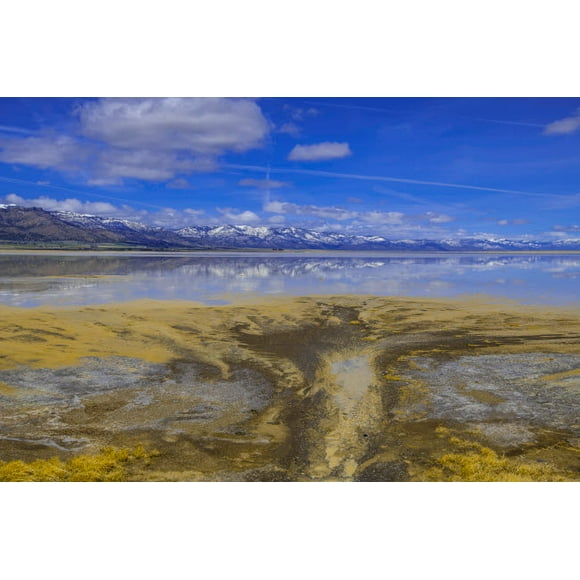 A delta on Middle Alkali Lake east of Cedarville, California Poster Print by Richard Wright (36 x 24) # US05RWR0021
