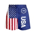 thumbnail image 4 of Lullu Boys Independence Day Board Shorts Summer Beach Breathable Swim Shorts, Sizes 3-14, 4 of 4