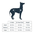 thumbnail image 6 of PetSafe CareLift Support Harness, Full Body Lifting Aid with Handle, Large, 6 of 7