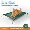 thumbnail image 5 of The Original Coolaroo Elevated Pet Dog Bed, Indoor & Outdoor Use, Durable, Cooling, Brunswick Green, Large, 51" L x 31.50" W x 8" H, 5 of 7