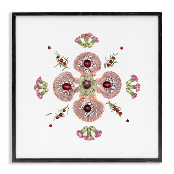 Stupell Industries Eclectic Clam Shells & Botanicals Pattern Black Framed Giclee Art, 12 x 12, by Beth Adoette