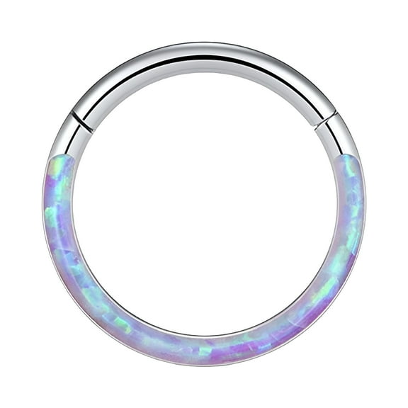DESIGNICE 16G Opal Septum Rings Hoop Nose Ring Lip Rings Stainless Steel Hinged Segment Ring Seamless Ring Cartilage Earrings Hoop Tragus Septum Piercing Jewelry